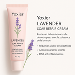 Charger l'image dans la galerie, 🟣 Yoxier Lavender Scar Repair Cream – Crème Réparatrice à la Lavande
